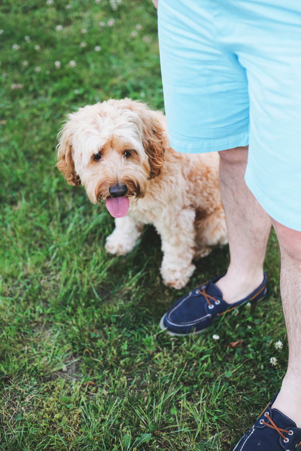 navy perry boat shoes design darling