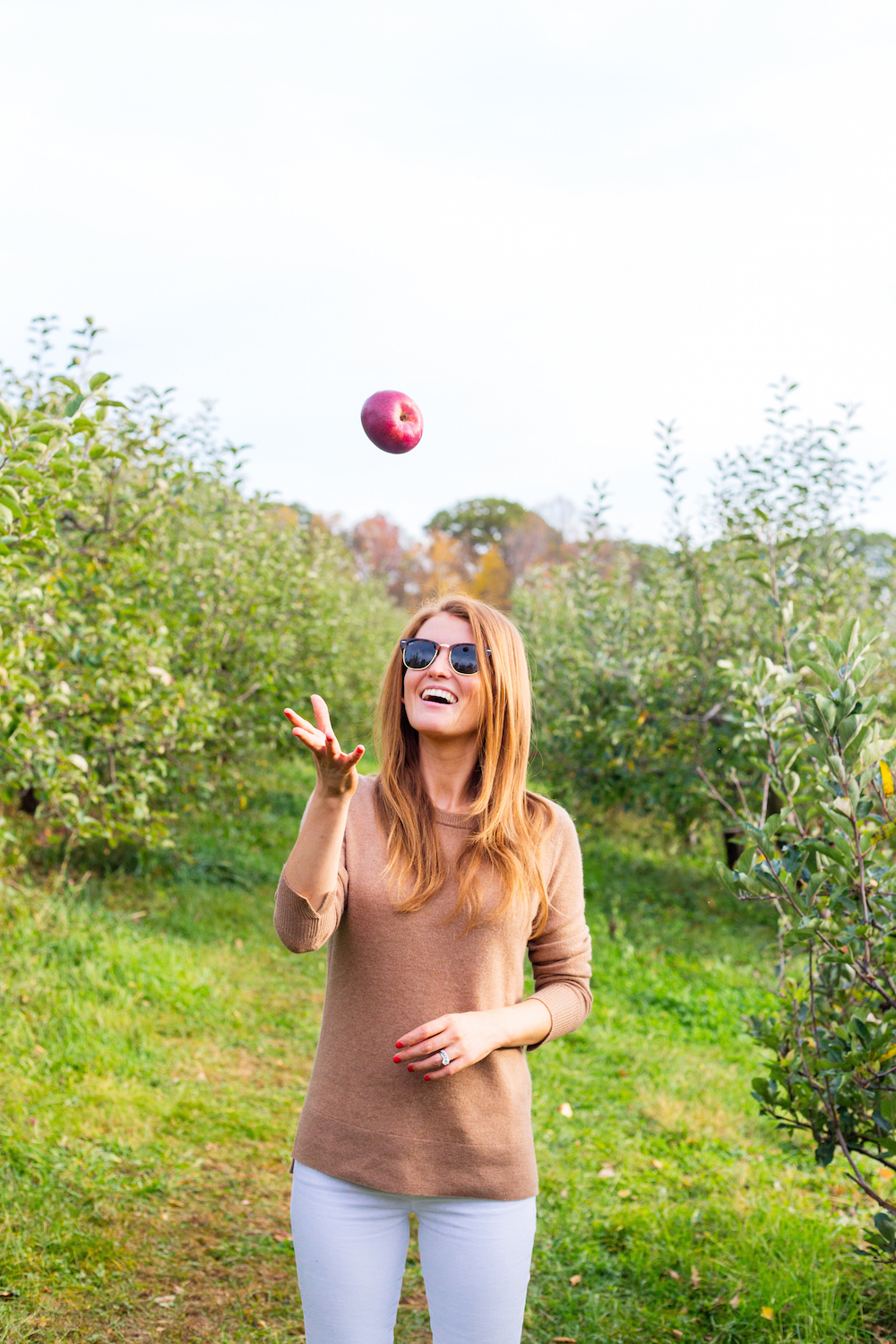 apple-picking-design-darling