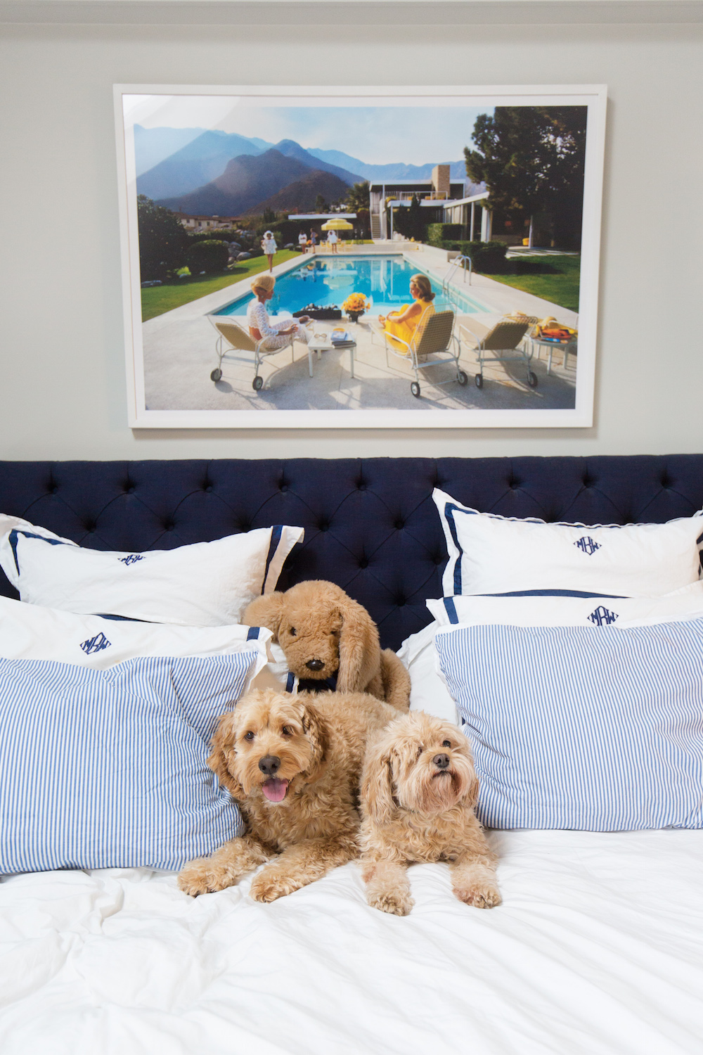design darling cockapoo rory slim aarons print matouk bedding copy