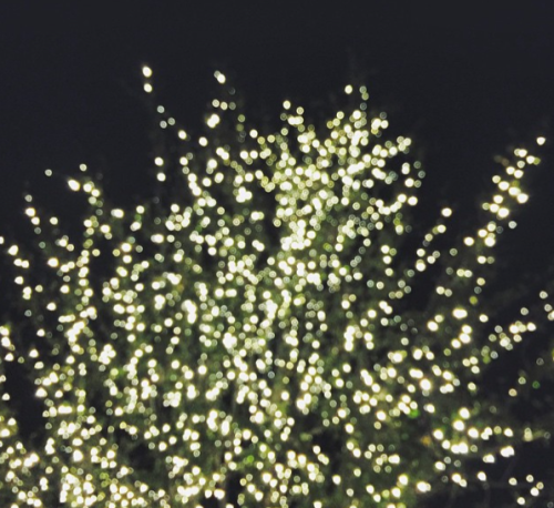 highland park village christmas lights