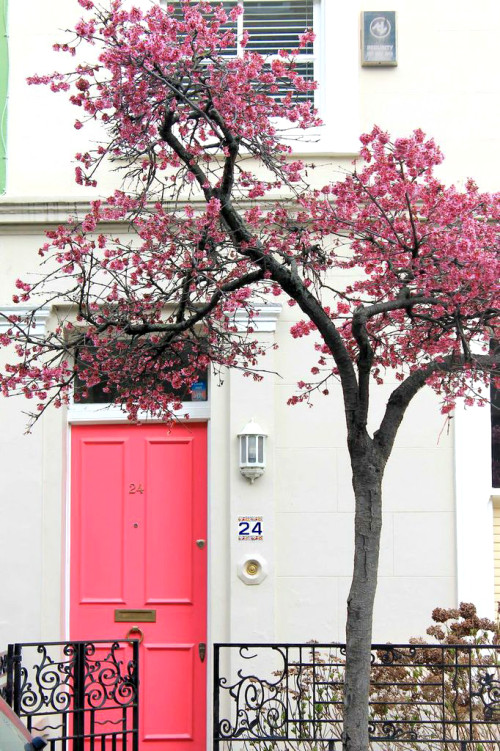 notting hill london pink door