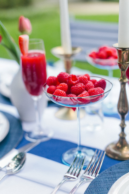 design darling fourth of july raspberry coupes