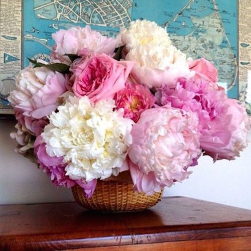 A wedding floral arrangement featuring garden roses and pink and white peonies in a Nantucket lightship basket.