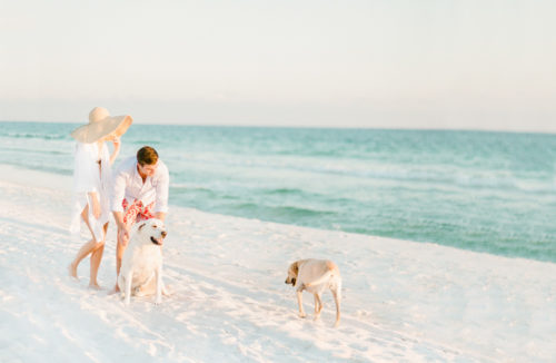 beach engagement photos with dogs
