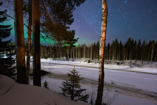 design darling northern lights in finland