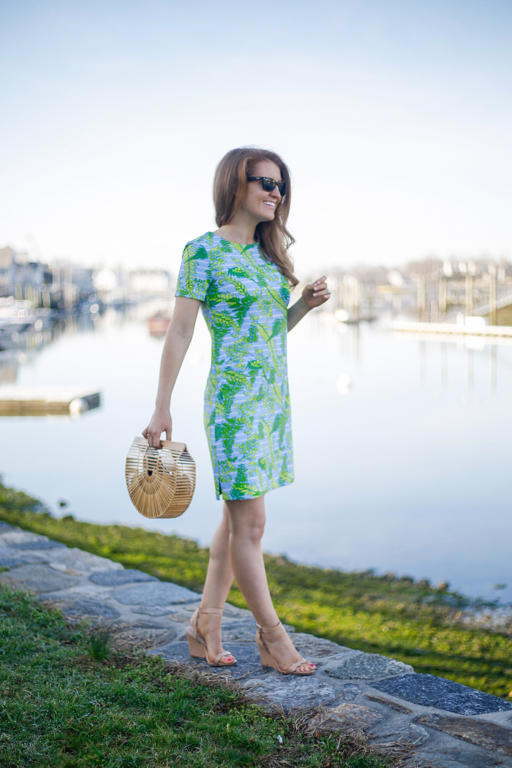 persifor carter dress