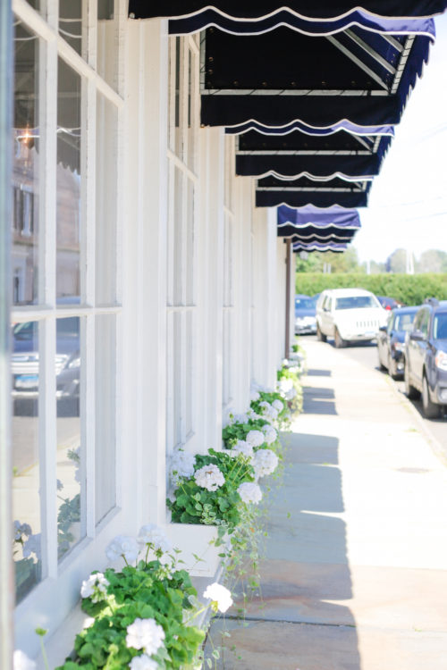 geranium window boxes in southport ct on design darling