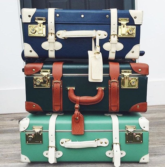 design darling steamline luggage
