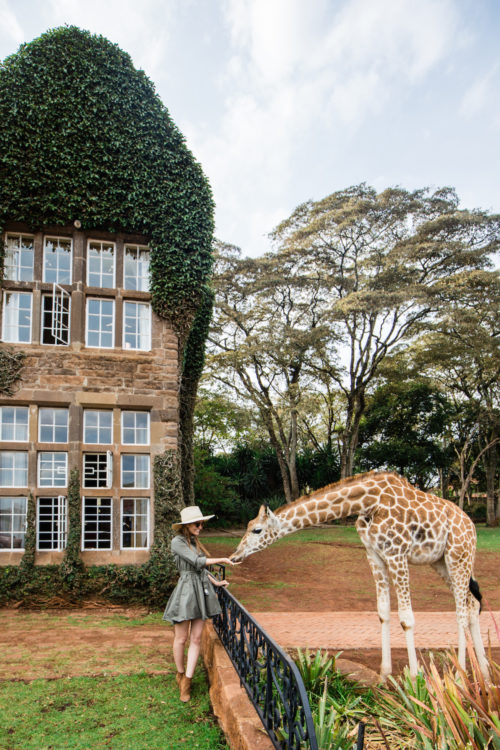 design darling at giraffe manor