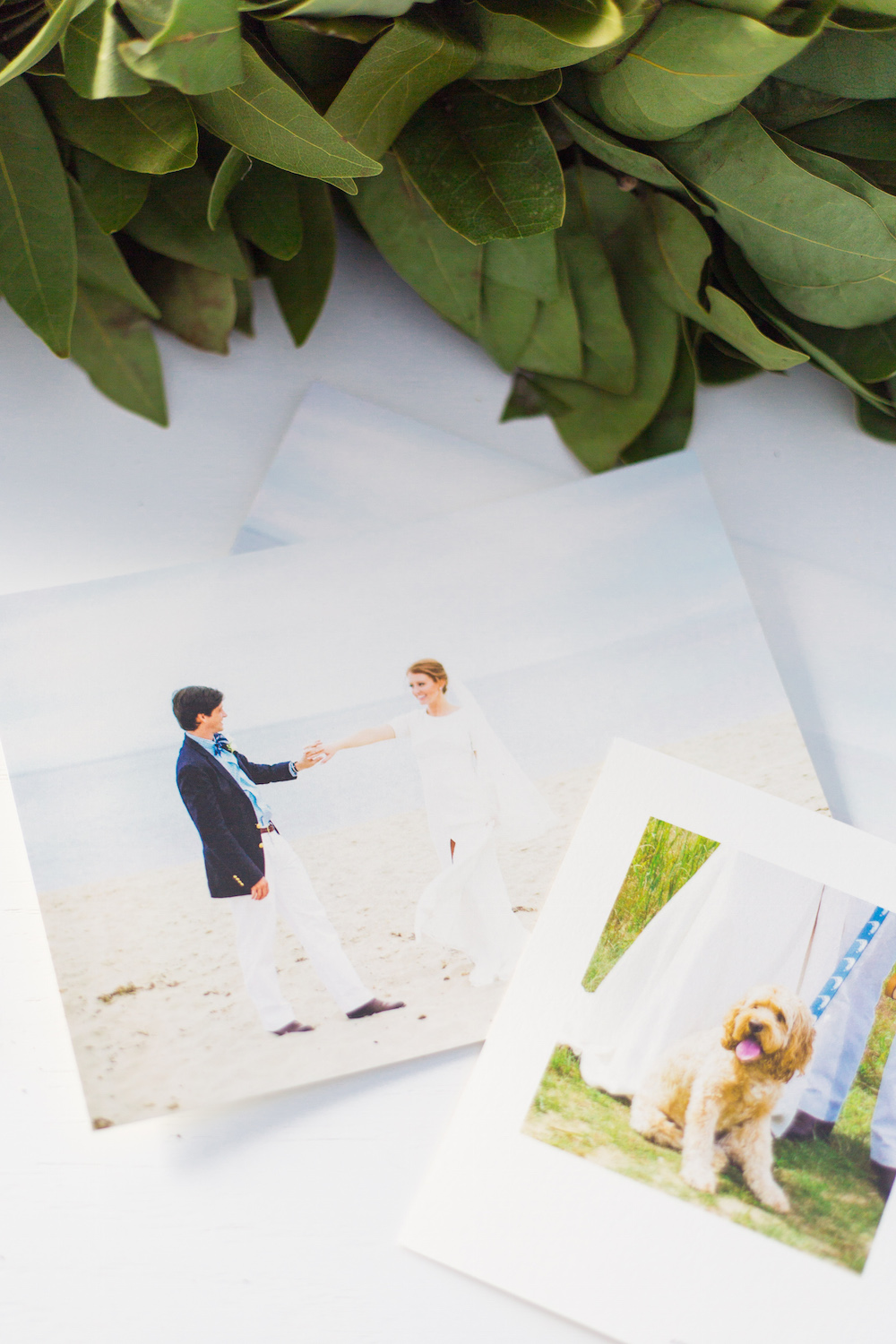 design darling holiday cards