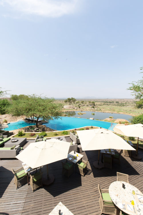 four seasons serengeti pool