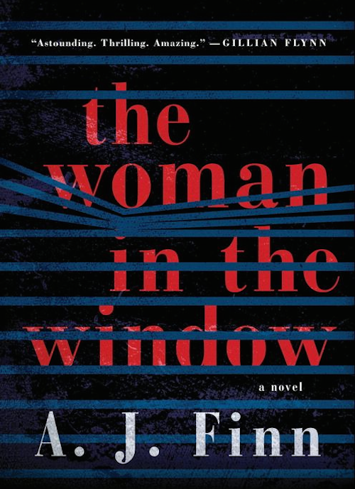the woman in the window book review