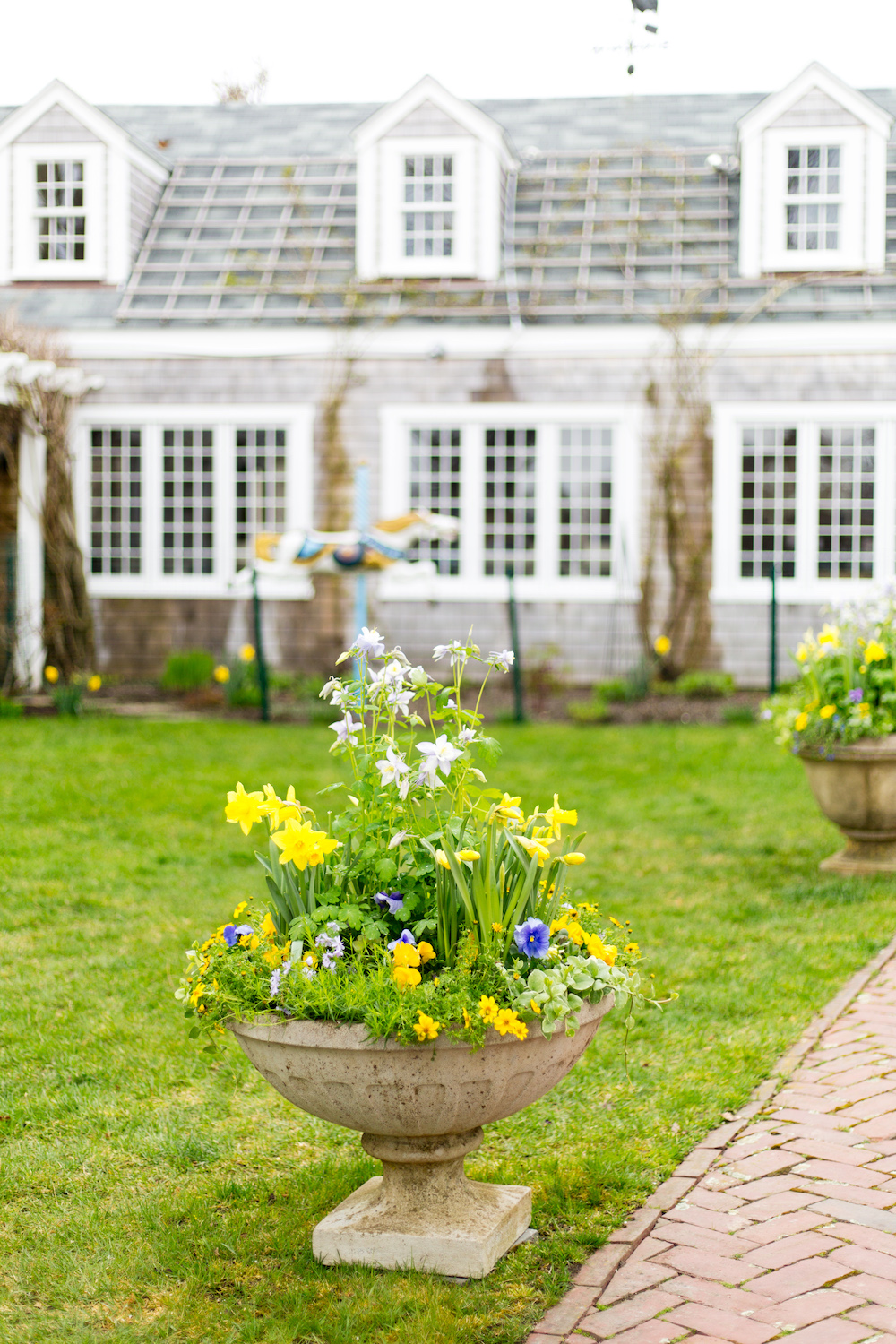 nantucket daffodil festival design darling
