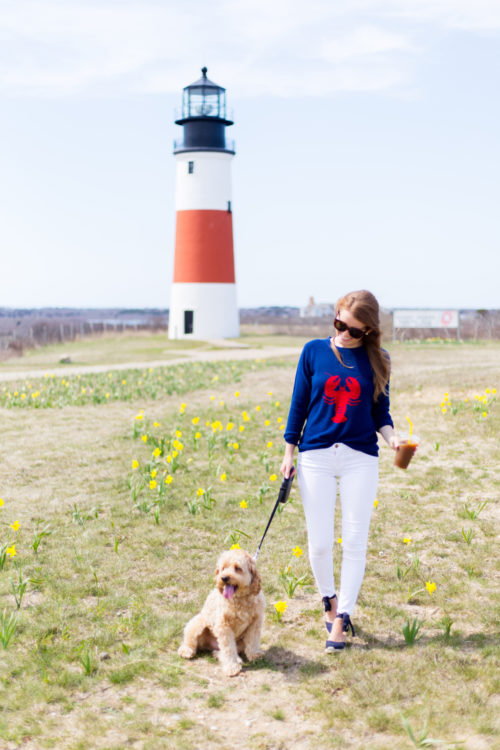two bees cashmere lobster sweater