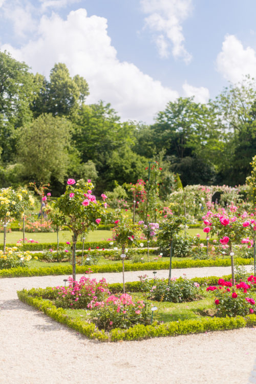 parc de bagatelle paris rose garden june