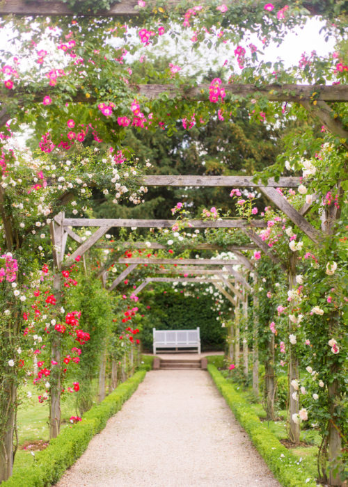 parc de bagatelle rose garden design darling