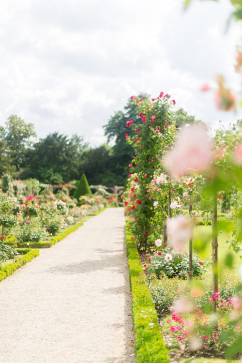 parc de bagatelle rose garden in paris