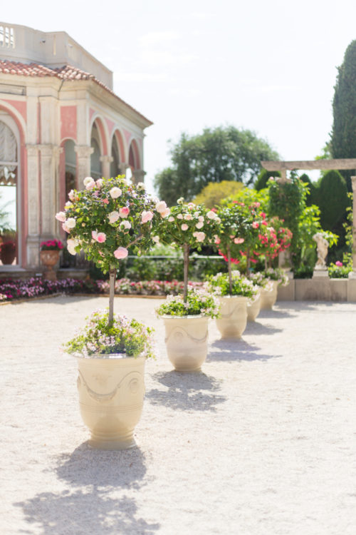 villa et jardins ephrussi de rothschild roses on design darling