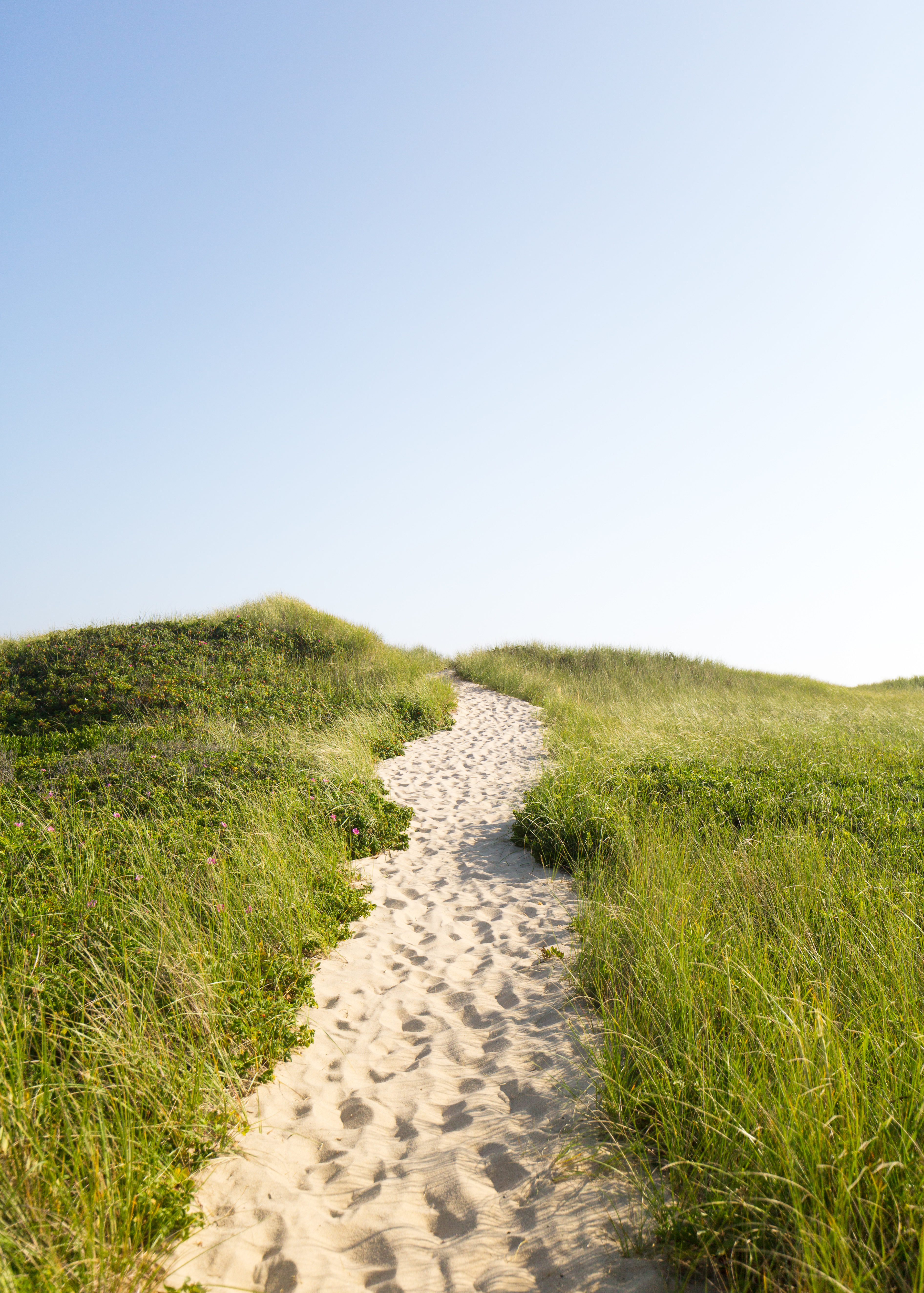 ladies beach nantucket