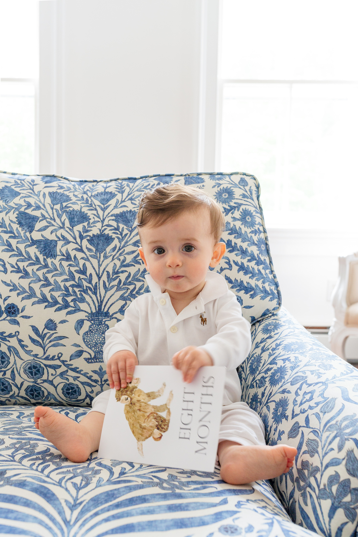 eight month baby update