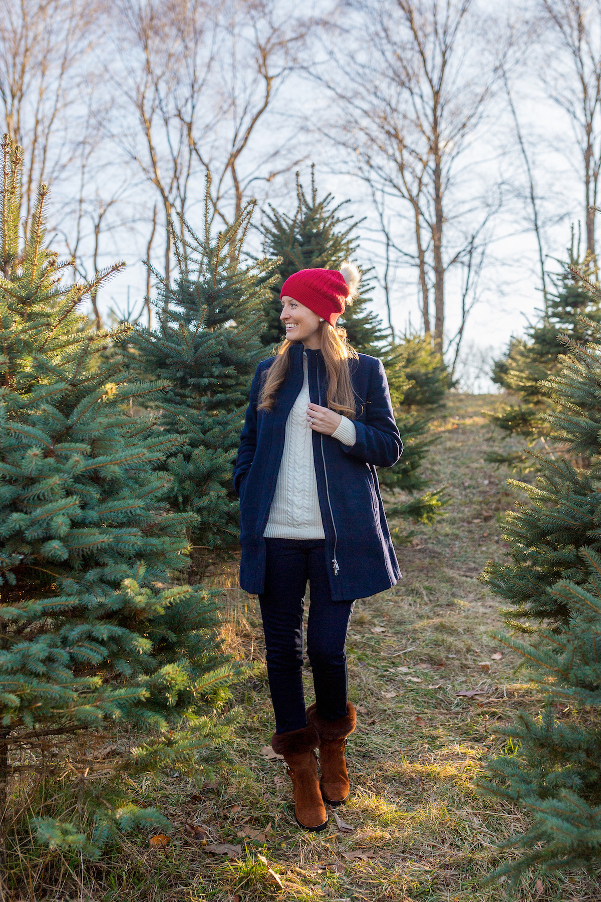 lappala tree farm new milford ct on design darling
