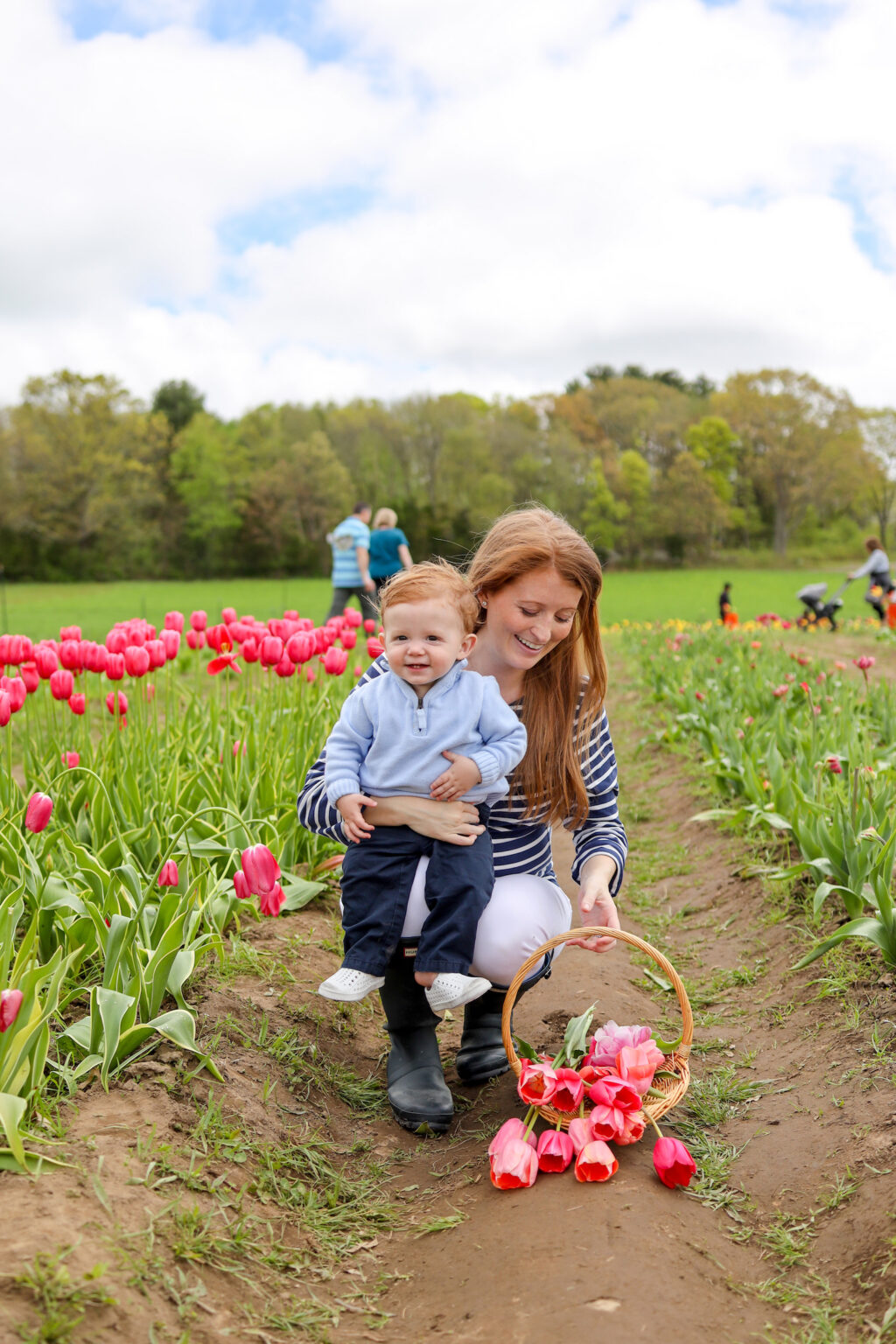 WICKED TULIPS IN PRESTON, CT Design Darling