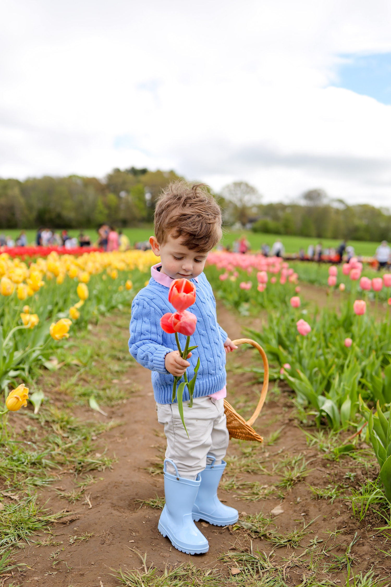WICKED TULIPS IN PRESTON, CT Design Darling