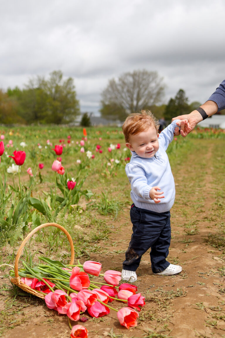 WICKED TULIPS IN PRESTON, CT Design Darling