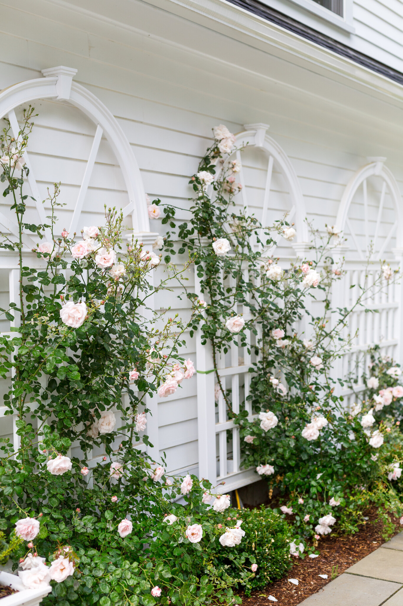 kerrimore vinyl arched trellis for climbing roses new dawn 1