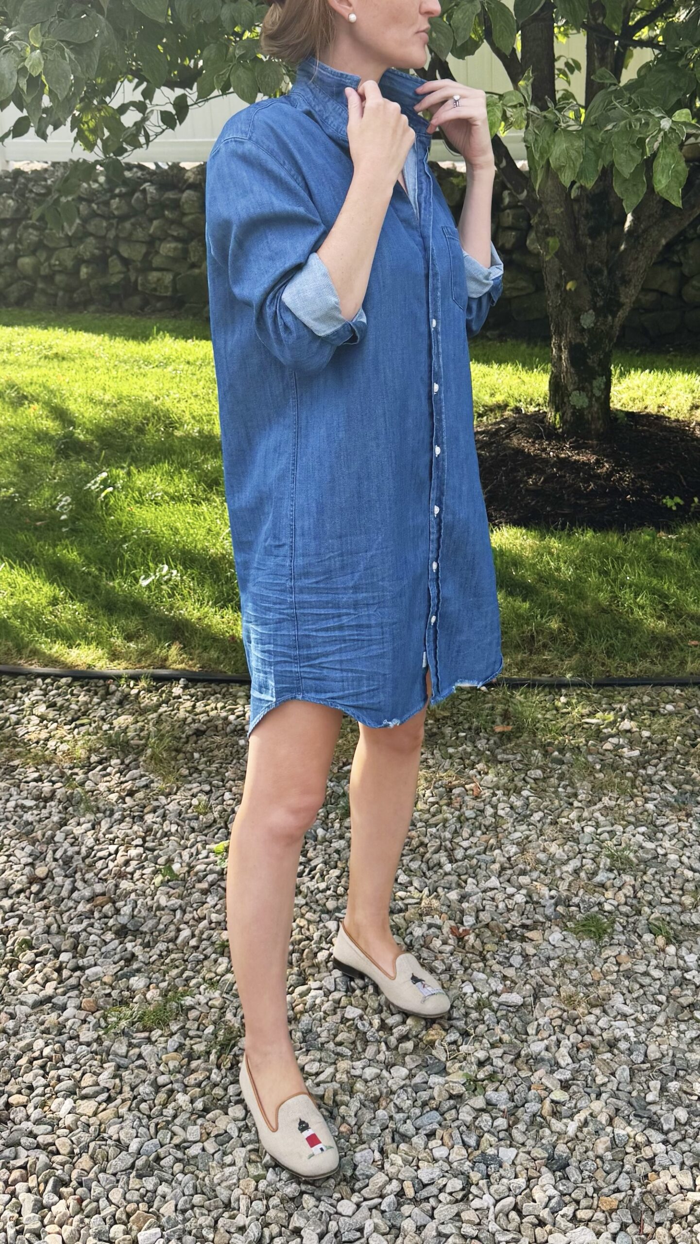 frank & eileen mary denim dress