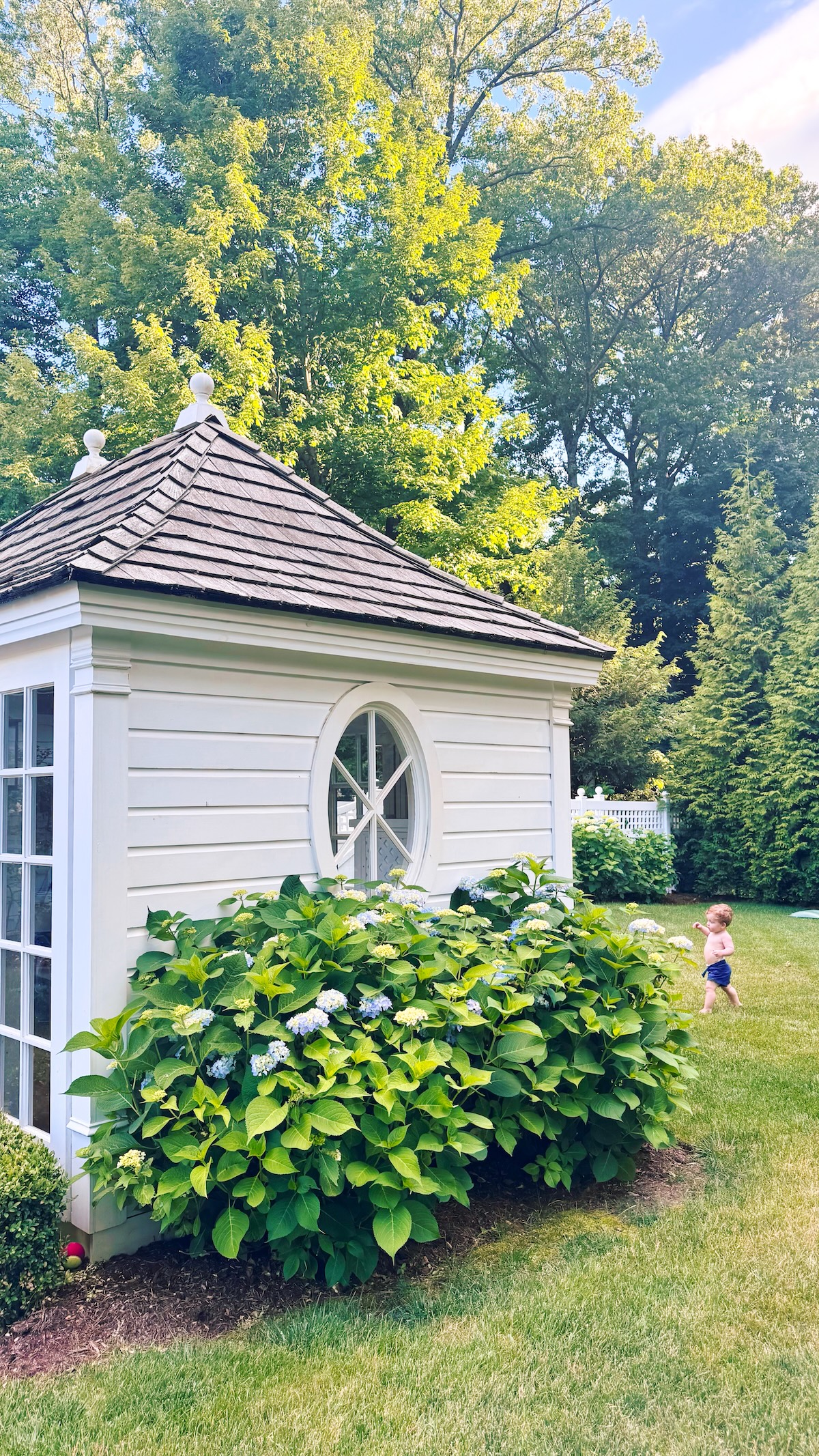 hillbrook collections garden house
